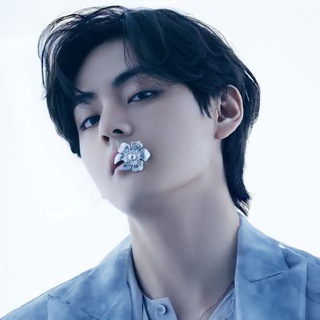 Логотип телеграм канала @bfs_v — 🐻 V House 💜
