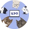Логотип телеграм канала @bfuonline — Центр электронного обучения БФУ им. И. Канта