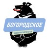 Логотип телеграм канала @bgrsp — Администрация сельского поселения «Село Богородское» Ульчского муниципального района