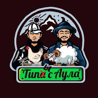 Логотип телеграм канала @bguashevfm — Bguash FM