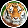 Telegram channel MALIK BHAI logo