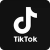 Логотип телеграм канала @bhtiktokplus — BH TikTok    (Russian localization)