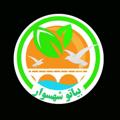 Logo saluran telegram bia2shahsavarr — 🍃بیـاتـو شـهـسـوار🍃