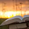 Логотип телеграм канала @bibletodays — Библия на каждый день