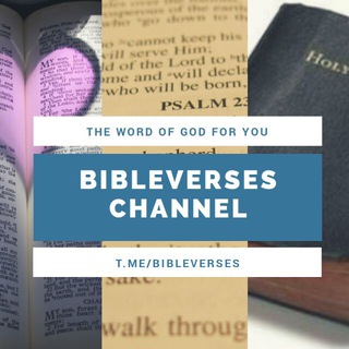 Logo of telegram channel bibleverses — 📃 Bible 📃