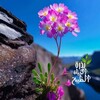 شعار قناة تلجرام bidhara_life — بذرة الخير والحياة الطيبة 🌱
