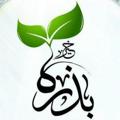 Logo saluran telegram bidharat — بذرة خير💚🌱