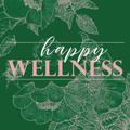 Logotipo del canal de telegramas bienestar - Happy Wellness