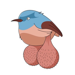 Telegram channel BIG BALLS BIRDS logo