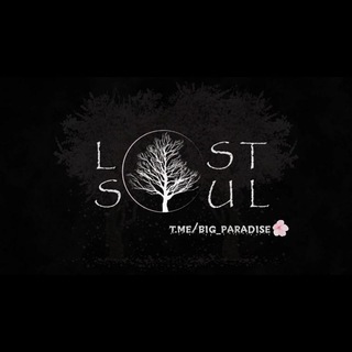 Логотип телеграм канала @big_paradise — Lost Soul |