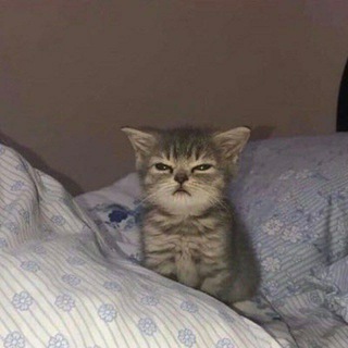 Логотип телеграм канала @big_txt_hit — 𝙏𝙤𝙢𝙤𝙧𝙧𝙤𝙬 𝙓 𝙏𝙤𝙜𝙚𝙩𝙝𝙚𝙧