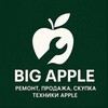 Логотип телеграм канала @bigapple116 — Big Apple