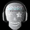 Logo saluran telegram bigbangsport — Big Bang Sport
