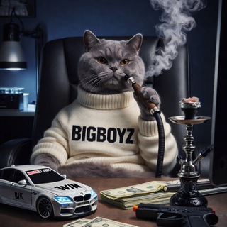 Telegram channel bigboyz fun logo