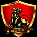 Logo saluran telegram bigbull8808088050 — 🔥𝗕𝗜𝗚 𝗕𝗨𝗟𝗟 𝗕𝗘𝗧 𝗘𝗫𝗖𝗛𝗔𝗡𝗚𝗘🔥