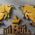 Logo saluran telegram bigbullscallz — Big Bulls callz💹