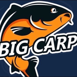 Логотип телеграм канала @bigcarp2020 — BIG CARP🎣