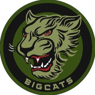 Логотип телеграм -каналу bigcatsinfo — Війна BIGCATS інфо