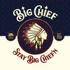 Logo of telegram channel bigchiefextractsi — BIGCHIEFEXTRACTS