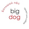 Логотип телеграм канала @bigdog_ekb — Bigdog_ekb помощь собакам, попавшим в беду ❤🐕