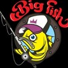 Telegram kanalining logotibi bigfishuz — BIG FISH Карасу 24/7