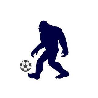Логотип телеграм канала @bigfoot_9 — БигФУТ