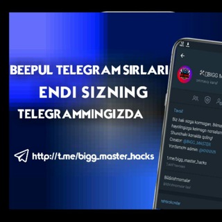 Telegram kanalining logotibi bigg_master_hacks — 🛠⚙BIGG MASTER HACKS⚙🛠
