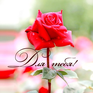 Логотип телеграм канала @biglietti_auguri — ОТКРЫТКИ🌹Поздравления