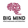 Telegram channel Big Mind logo