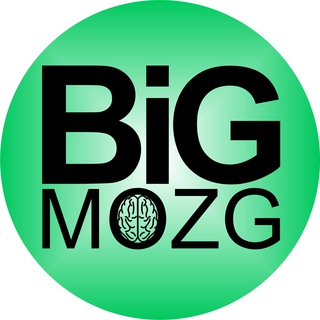 Логотип телеграм канала @bigmozzg — BiG Mozg