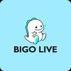Logo of telegram channel bigosloots — BIGO SLOOTS 🔞