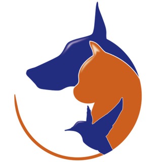 Логотип телеграм канала @bigpet_ru — Зоомагазин умных товаров Bigpet.ru
