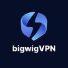 Logo of telegram channel bigwigvpn — bigwigVPN