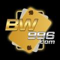 Logo saluran telegram bigwin996gamez — BW996 ONLINE CASINO GAMES🥇
