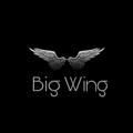 Logo saluran telegram bigwing_original — Big Wing (Nifty Banknifty Future Option and Cash call Intraday stock market )