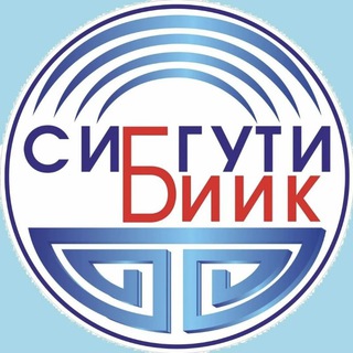 Логотип телеграм канала @biik_sibsutis — БИИК СибГУТИ
