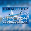 Telegram kanalining logotibi biletchi_1988 — TEMIRQUSHLAR AVIAKASSA