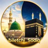 Telegram kanalining logotibi biletchi_sodiq — Biletchi Sodiq by Rixos