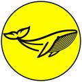 Logo saluran telegram binancewhalesgroup — BINANCE Crypto Whales