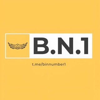 لوگوی کانال تلگرام binnumber1 — Bin Number 1