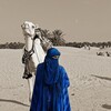 Логотип телеграм канала @bintamr — подобна ночи в тихаме.