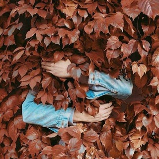 Telgraf kanalının logosu binti_islam — Binti İslâm🌾
