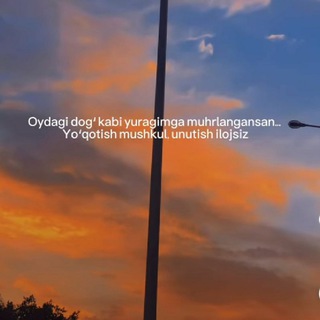 Telegram channel Bintu marat blog logo