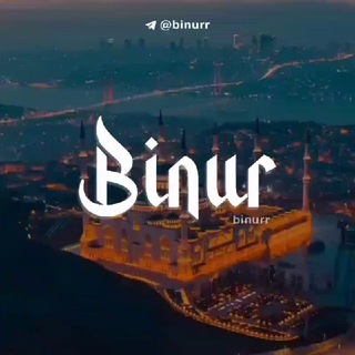 Логотип телеграм канала @binurr — Binur🌙