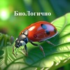 Логотип телеграм канала @bio_53 — БиоЛогично