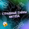 Логотип телеграм канала @bio_chem_veb — Бесплатные мини-курсы | БиоУм