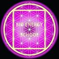 Logo saluran telegram bioenergyschool — Bioenergy_school