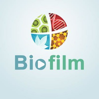 لوگوی کانال تلگرام biofilm — Bio Film
