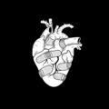 Logo saluran telegram bioinstagram — Bio instagram