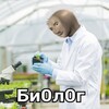 Логотип телеграм канала @biolizok — BioLizOk
